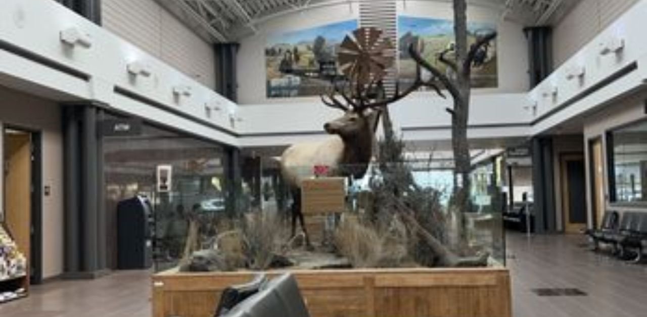 United Airlines GCC Terminal
