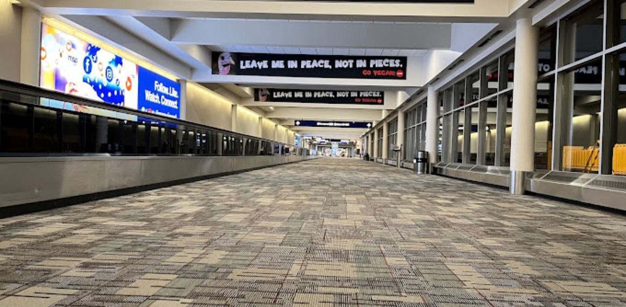 Singapore Airlines MSP Terminal